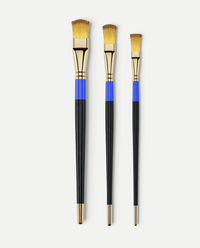Paint Brushes Set
